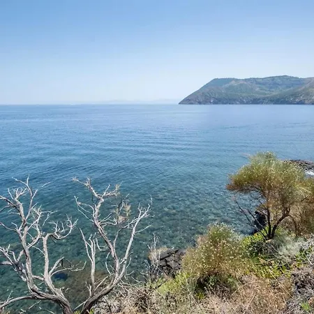 Jera Collection Tre - Sea View